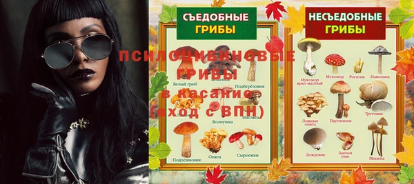 дживик Елизово