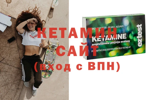 шишки Дмитриев