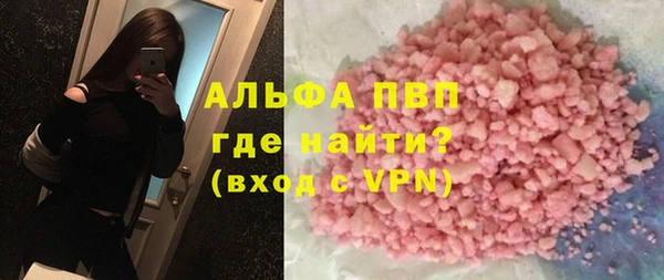 индика Дмитровск