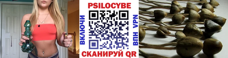 Псилоцибиновые грибы Cubensis  OMG ONION  Великие Луки  сколько стоит 